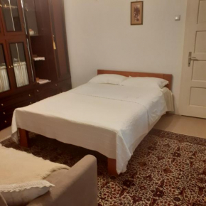 Bosnian house